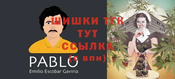 мдпв Волоколамск