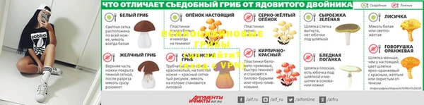 мдпв Волоколамск