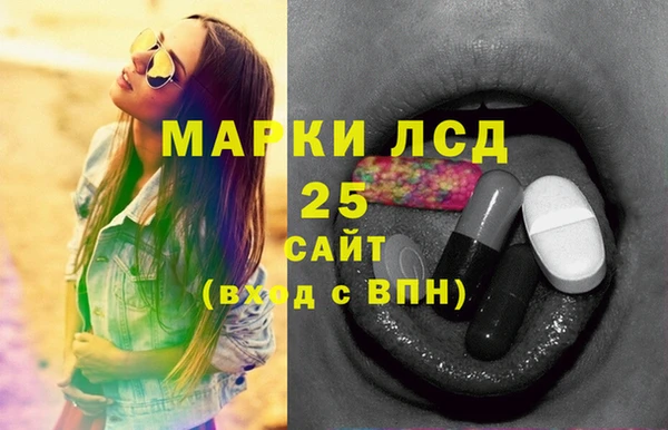соль ск Вяземский