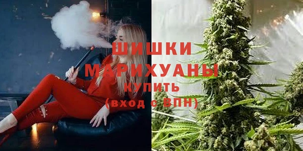 мдпв Волоколамск