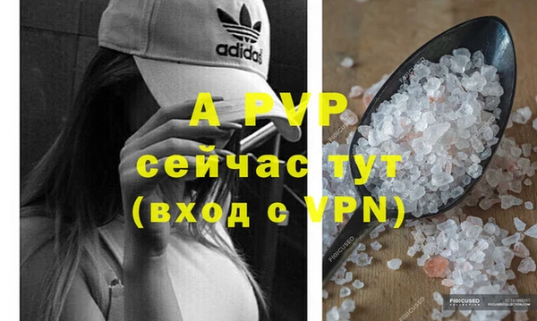 мдпв Волоколамск