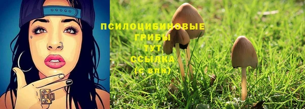 соль ск Вяземский