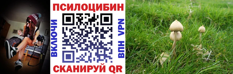 Купить  Ардон  Галлюциногенные грибы прущие грибы 